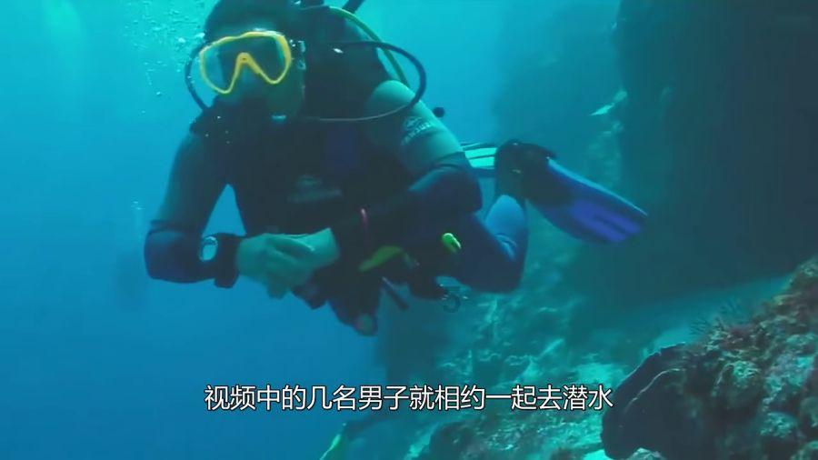 可爱宝宝大作战
